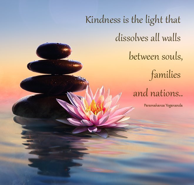 Zen stones balanced beside lotus flower in water