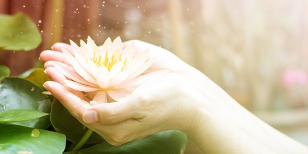 hands holding flower in the rain